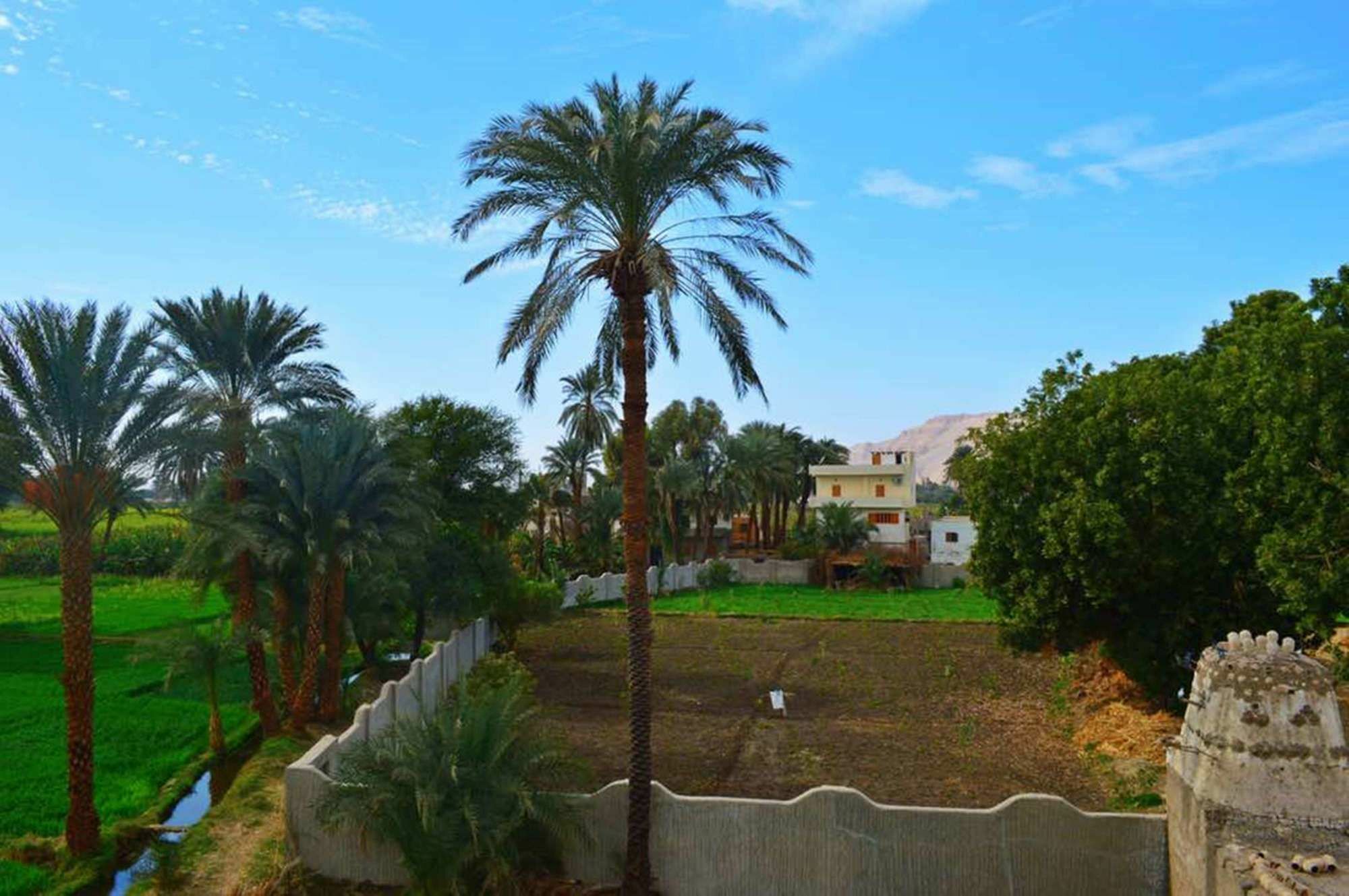 לוקסור Farida Apartments מראה חיצוני תמונה