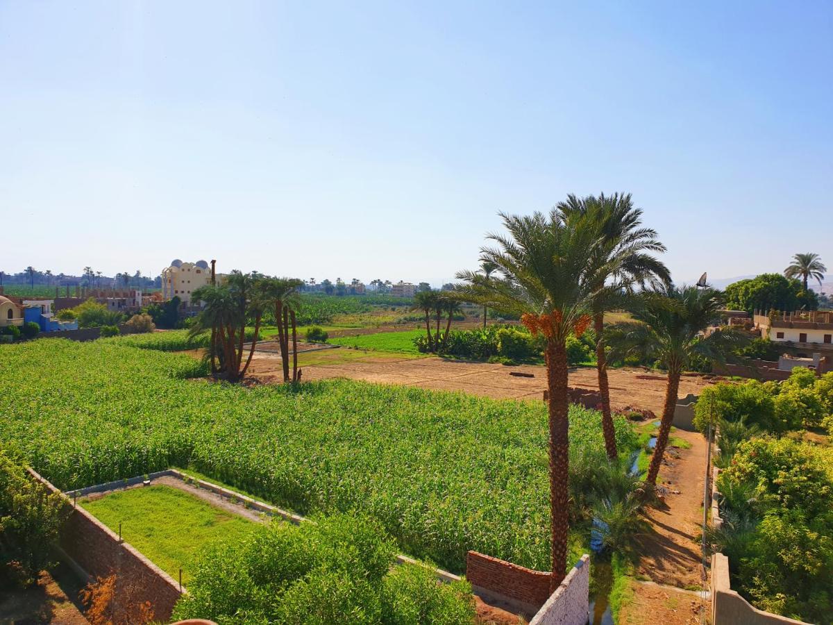 לוקסור Farida Apartments מראה חיצוני תמונה